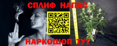 МДМА Гатчина
